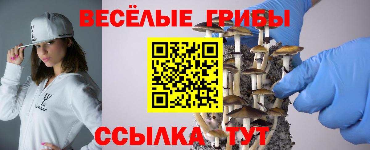 Псилоцибиновые грибы мицелий Саров