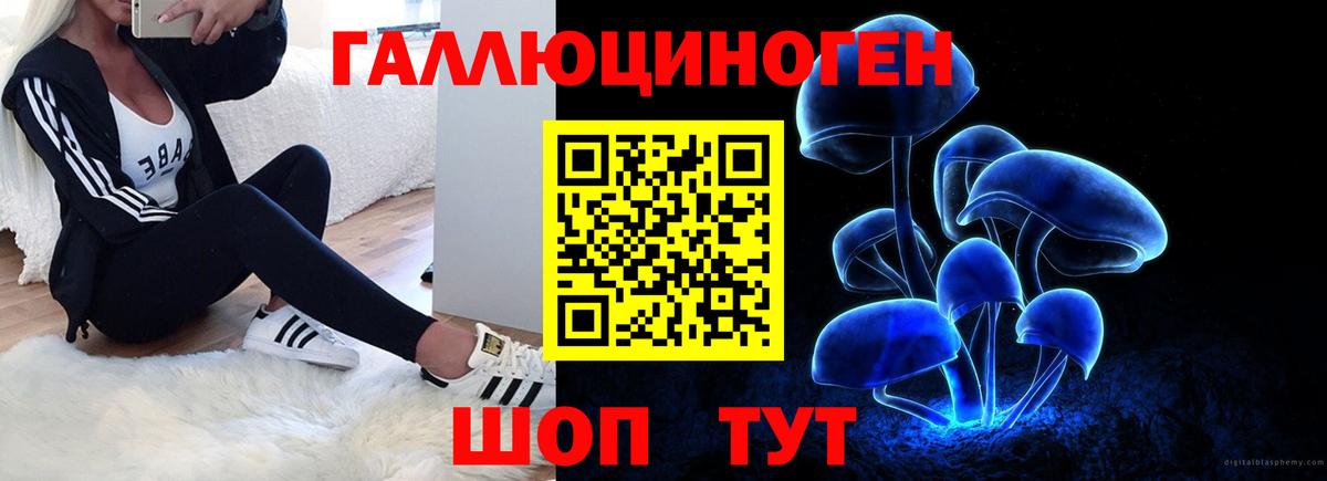Галлюциногенные грибы Cubensis  наркошоп  Саров  Вход с VPN 